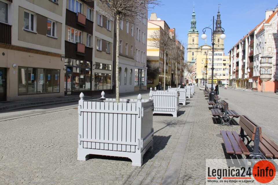 Legnicki Rynek pięknieje na wiosnę