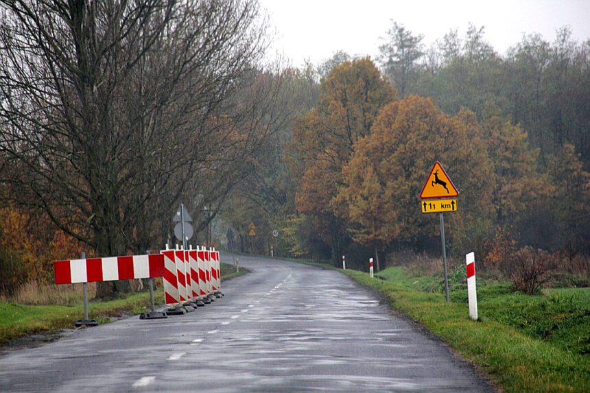 Pątnowska do przebudowy. Przetarg rozstrzygnięty