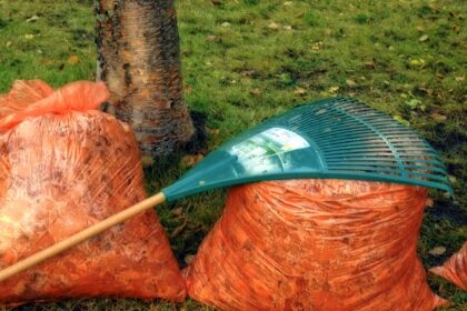 LPGK przeprowadzi jesienną zbiórkę liści