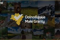 Dolnośląskie Małe Granty 2020. Ruszył nabór wniosków