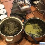 Kolejny narkobiznes zlikwidowany. Zabezpieczono ponad 3 kg narkotyków