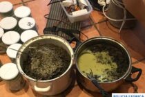 Kolejny narkobiznes zlikwidowany. Zabezpieczono ponad 3 kg narkotyków