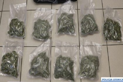 Legnicka policja uderzyła w kolejny narkobiznes