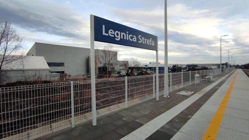 legnica strefa