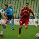 miedz lechia