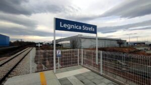 strefa6