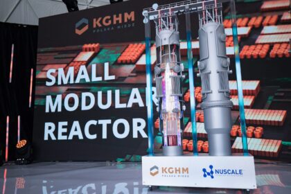 model reaktora nuscale power 1