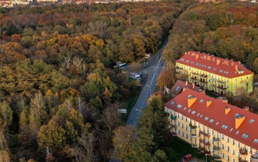 Kolejne utrudnienia w Legnicy. Rusza przebudowa ul. Złotoryjskiej