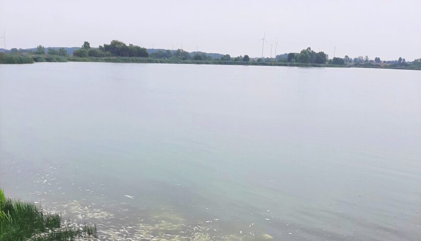 Jezioro Koskowickie pod większą ochroną Wód Polskich. Podpisano list intencyjny