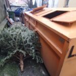 Co zrobić z choinką po świętach? Poznaj ekologiczne sposoby