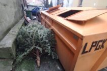 Co zrobić z choinką po świętach? Poznaj ekologiczne sposoby