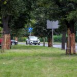 Drzewa na Alei Rzeczypospolitej obłożone deskami. Wyjaśniamy po co