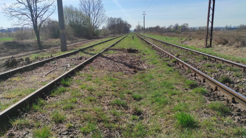 Dolny Śląsk przejmuje kolejne linie kolejowe. Wrócą połączenia do Przemkowa