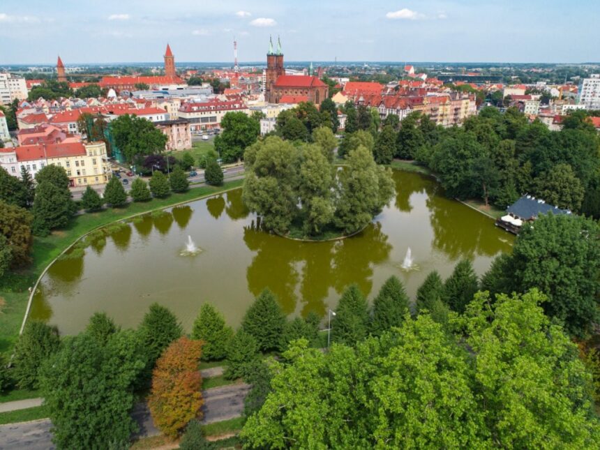 Spuszczą wodę z Koziego Stawu. Niebawem oczyszczanie zbiornika