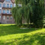 Eko_Skwer przy ulicy Witelona