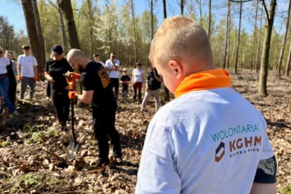 Wolontariusze KGHM posadzili tysiące drzew pod Głogowem