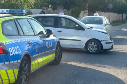 Kolizja w Spalonej, pijany kierowca. Policja uratowała psa