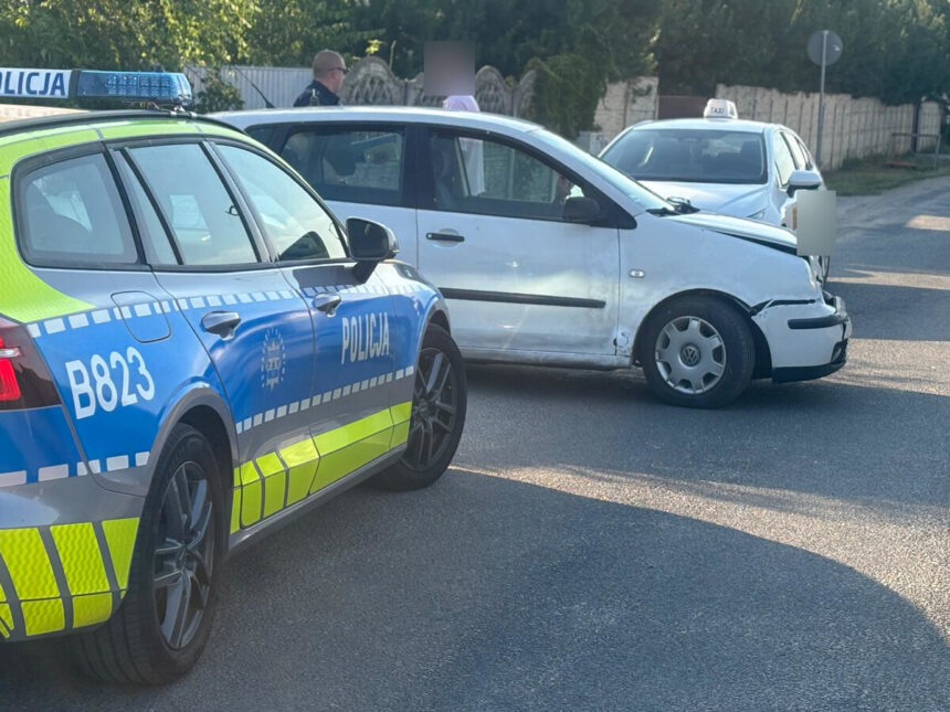 Kolizja w Spalonej, pijany kierowca. Policja uratowała psa