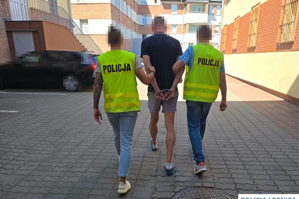 Kradzież papierosów w Legnicy. 33-latek zatrzymany przez policję