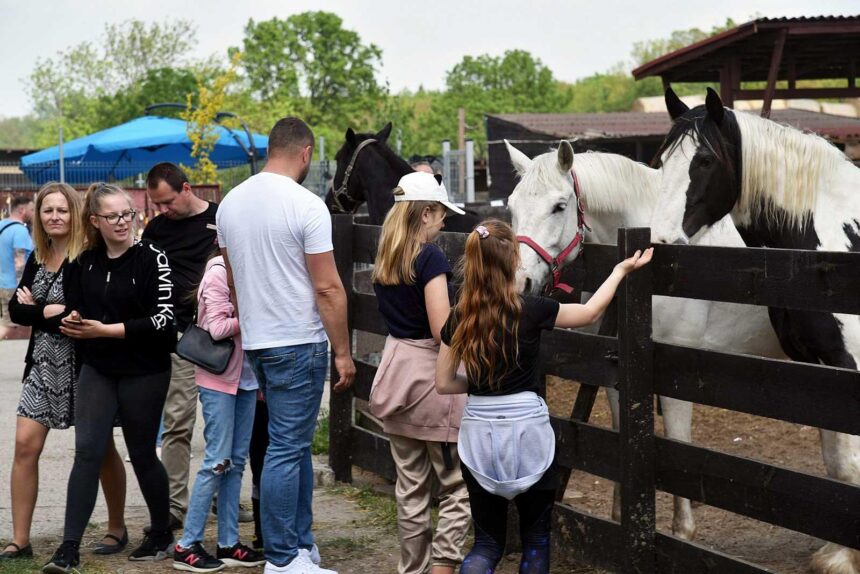 Rodzinny Piknik Fundacji Centaurus w Szczedrzykowicach. Świętuj 20-lecie!