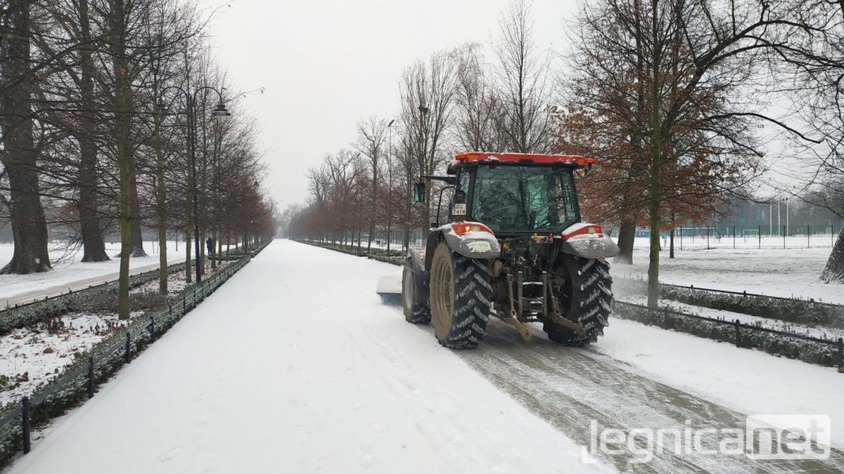 Przetarg na utrzymanie dróg w Legnicy