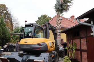 Egzotyczne rośliny w Palmiarni w Legnicy! Rewitalizacja i nowe gatunki