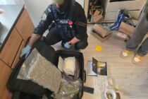 Fabryka metamfetaminy, broń i granaty. Wielka obława policji w Legnicy!