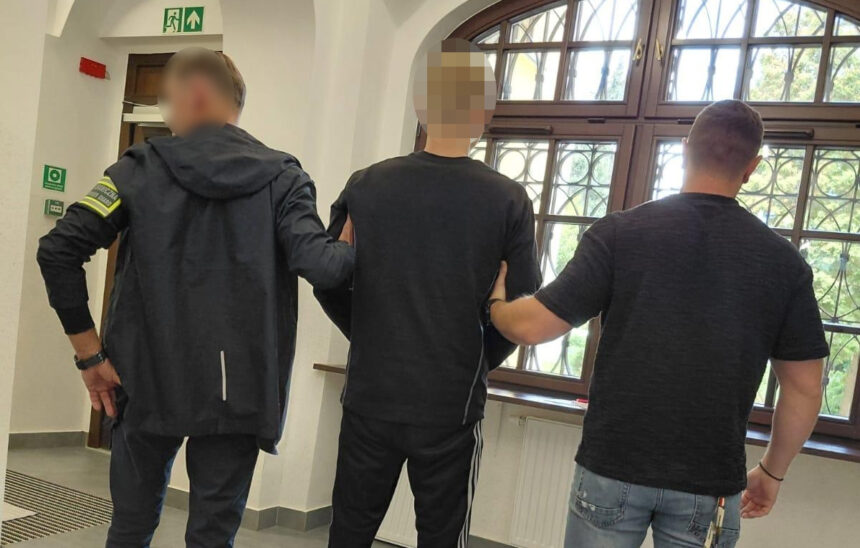 Przerzucali migrantów na Zachód. Legnicka Straż Graniczna rozbiła gang